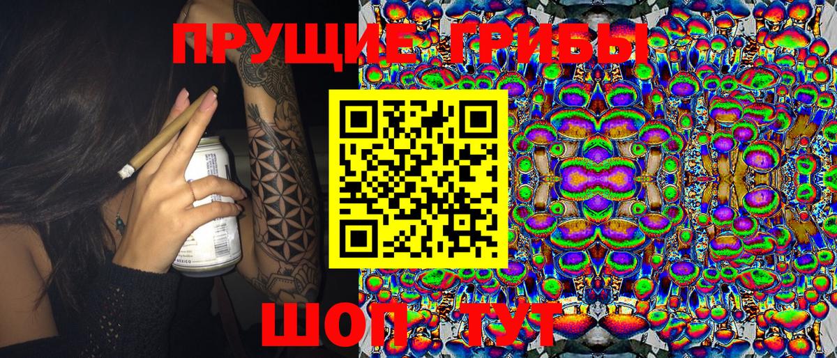 Майский  Псилоцибиновые грибы MAGIC MUSHROOMS  Псилоцибиновые грибы GOLDEN TEACHER  Вход с VPN 
