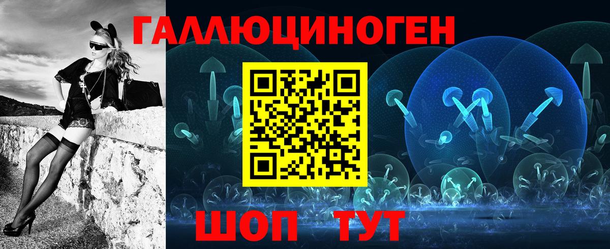Галлюциногенные грибы Psilocybine cubensis Майский